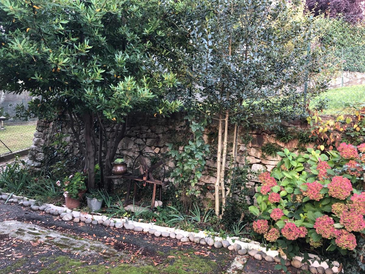 Trivero La Casa Verde B&B מראה חיצוני תמונה